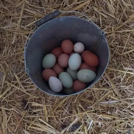 Gutshof Bartl 2 Apartmán Klagenfurt am Woerthersee