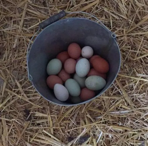 Gutshof Bartl 2 Apartamento Klagenfurt am Woerthersee