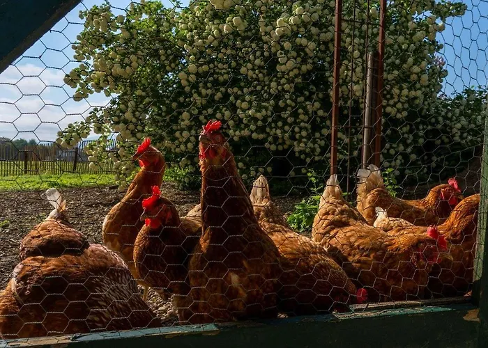 Apartamento Gutshof Bartl 2 *